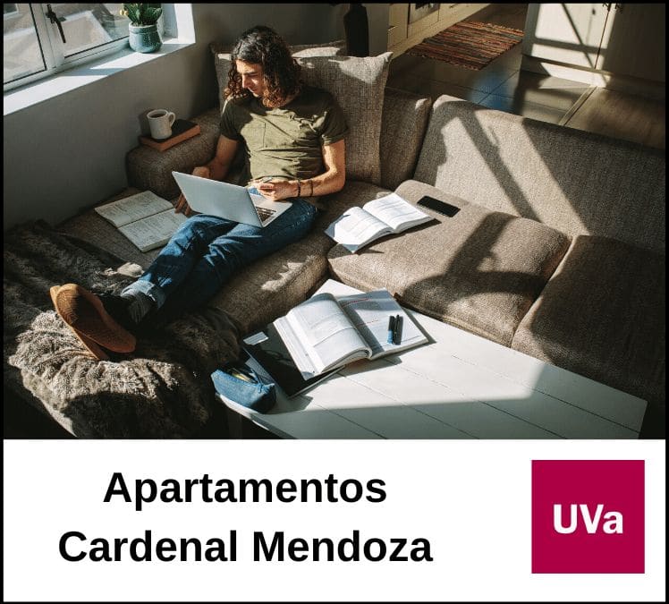Apartamentos Cardenal Mendoza web intermedia